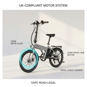 Alt text for image 8 A simplified diagram showing the location of a 250w front hub motor on a road-legal electric tricycle for adults in the UK.