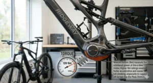 A photorealistic infographic in 4K resolution, illustrating how torque in Newton metres (Nm) applies rotational force to the crank and chain of an electric mountain bike to aid climbing.
