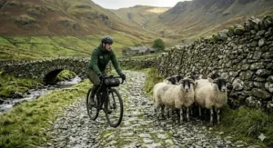 A cyclist on a dark electric bikepacking bike riding slowly past a group of sheep on a wet, cobblestone track next to a traditional dry stone wall and stone farmhouse.