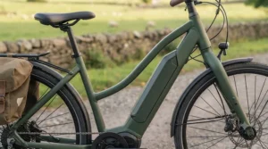 Step-through electric bike frame designed for easy mounting and dismounting on long distance leisure rides.