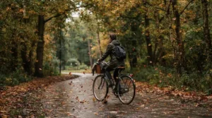 An electric bike reflective frame being ridden along a shadowy urban park path under a canopy of autumnal trees.